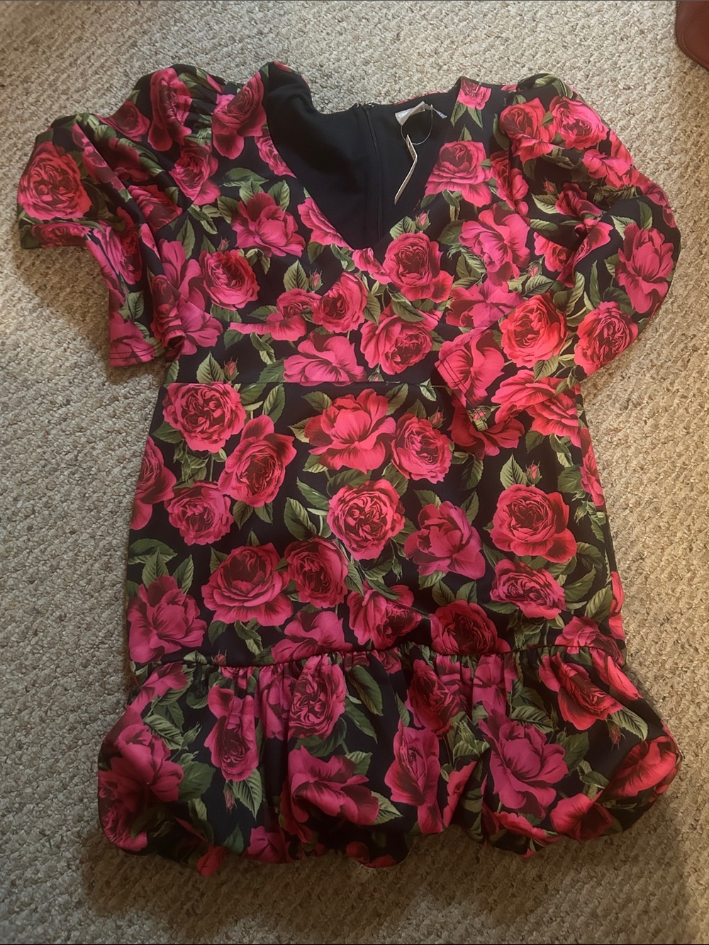 Womens ASOS Pink /Green Floral Puff-Sleeve dress. NWT